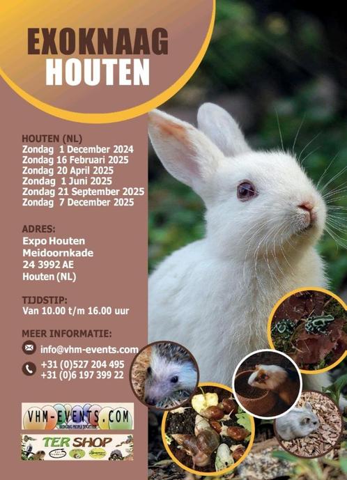 Exoknaag&Terraria Houten 01-06-2025 Nederlands grootste, Dieren en Toebehoren, Knaagdieren