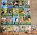 21 Franstalige verzamelkaarten dieren (reeks SoundCard), Enlèvement ou Envoi, Utilisé, Animal, Gravure