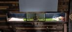 3 Aquarium's 100X50X50, Dieren en Toebehoren, Ophalen, Zo goed als nieuw