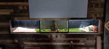 3 Aquarium's 100X50X50 beschikbaar voor biedingen