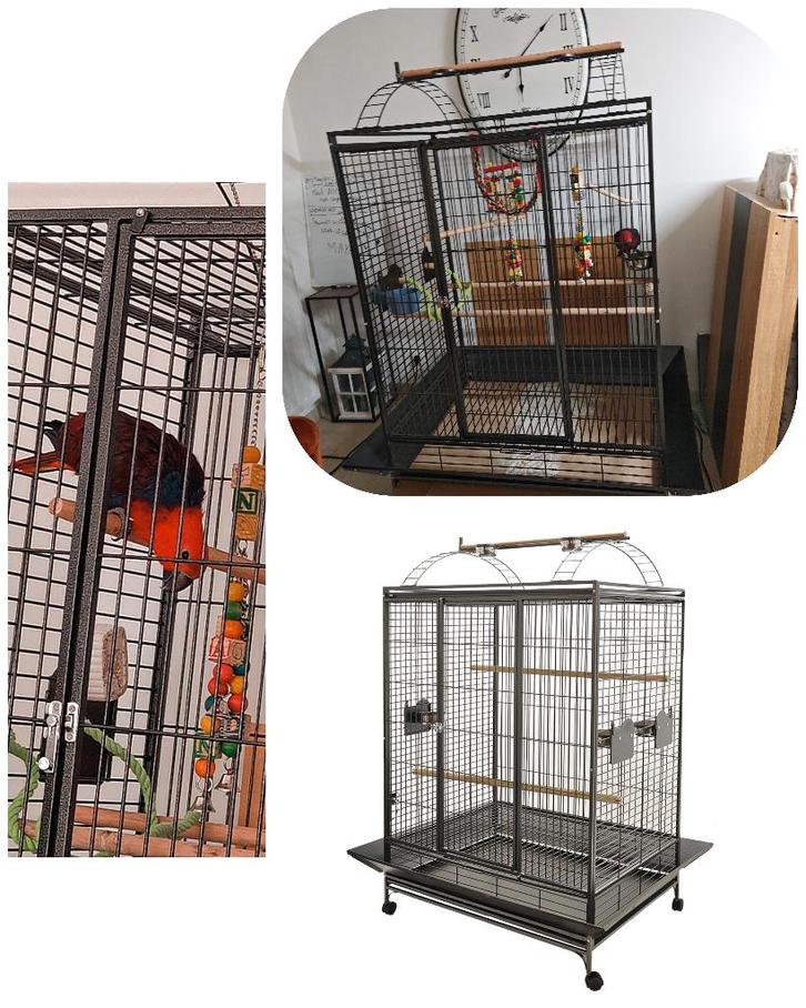 Cage perroquet, Dieren en Toebehoren, Vogels | Hokken en Kooien, Nieuw, Vogelkooi, Ophalen