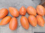 prei 0,20/ stuk, 4 pompoenen van elk 4 kilo, Ophalen