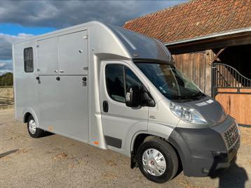 Mooie paardencamionette met 50 000km!!! 900kg /laden