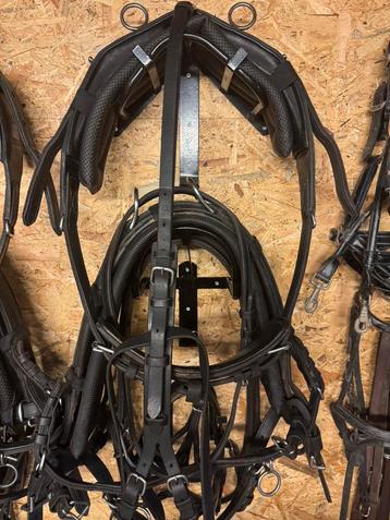 Dubbelspan tuig , ideal equestrian Shetland beschikbaar voor biedingen