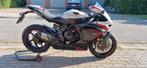 Agusta f3 800 rr, Motoren, Motoren | MV Agusta, Particulier