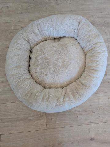 Donut hond of kat  beschikbaar voor biedingen