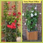 planten rekken klimplantenrekken clematis jasmijn klimrozen, Tuin en Terras, Planten | Tuinplanten, Ophalen of Verzenden, Klimplanten