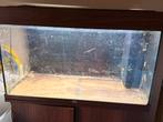 Aquarium juwel rio 110, Ophalen, Zo goed als nieuw