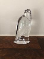 Val Saint Lambert kleine valk, Enlèvement