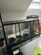 Kweekkas Ikea, Tuin en Terras, Kweekspullen, Ophalen, Gebruikt