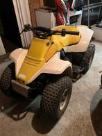 Suzuki LT80, Motoren, Quads en Trikes