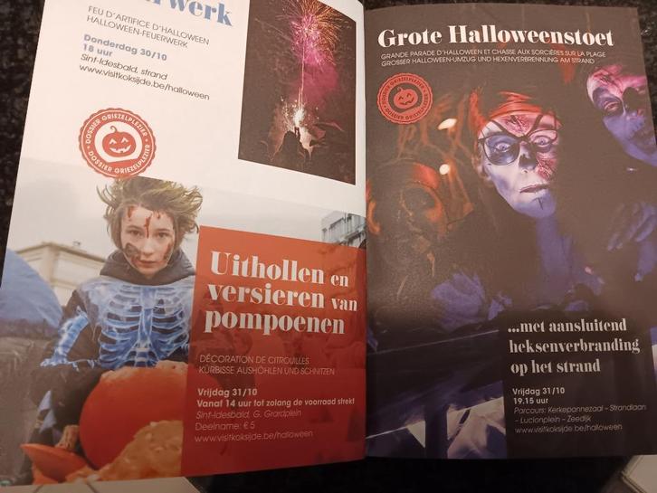 Dit weekend is nog vrij koksijde, Vakantie, Vakantiehuizen | België, Antwerpen of Vlaanderen, Appartement, Stad, Aan zee, Groepsaccommodatie