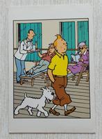 Postcard - Hergé/Moulinsart - Tintin & Milou/Kuifje & Bobby, Ongelopen, Verzenden