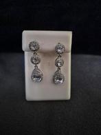 Nieuwe zilverkleurige oorbellen, Hangers, Nieuw, Ophalen of Verzenden, Zilver
