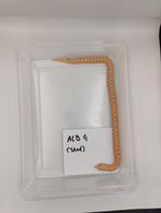 Haakneus albino het ax.  x.x nakweek 2024, Dieren en Toebehoren, Reptielen en Amfibieën