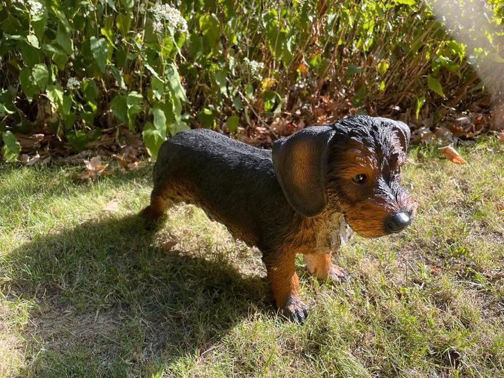 Beeld teckel, tekkel, hond, tuin, gazon 50cm, Tuin en Terras, Tuinbeelden, Nieuw, Dierenbeeld, Kunststof, Ophalen