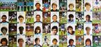 23 spelerskaarten + elftalkaart Frans Nationaal Elftal 1981, Verzenden, Zo goed als nieuw, Spelerskaart