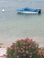 Speedboot volledig gerestaureerd, Watersport en Boten, Speedboten, Ophalen, Overige brandstoffen, 70 tot 120 pk, Zo goed als nieuw