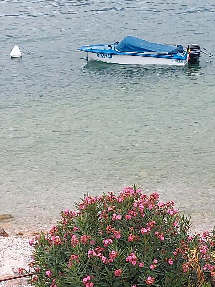 Speedboot volledig gerestaureerd, Sports nautiques & Bateaux, Speedboat, Comme neuf, 3 à 6 mètres, Autres carburants, 70 à 120 ch