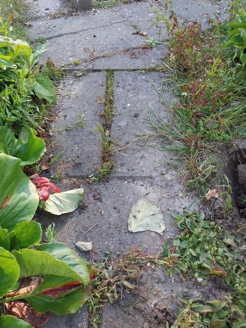 Carrelage de jardin, Jardin & Terrasse, Pavé & Dalles, Tuiles de terrasse, Enlèvement