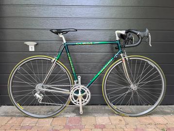 Chesini Criterium Corsa 56CC beschikbaar voor biedingen