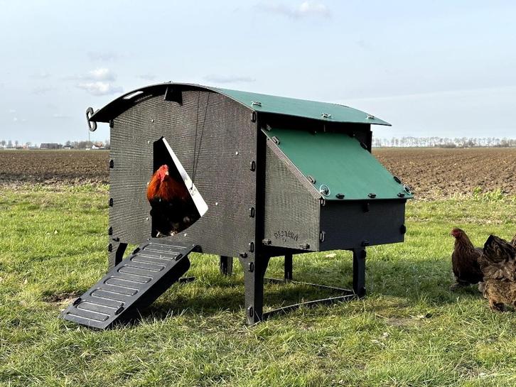 Kunststof Kippenhok - Nestera Large Op Pootjes, Dieren en Toebehoren, Pluimvee | Toebehoren, Nieuw, Kippenhok of Kippenren, Ophalen of Verzenden