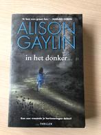 Alison gaylin in het donker, Livres, Thrillers, Comme neuf, Enlèvement