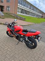 Honda CBR 600 F1, Particulier