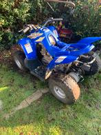Kinder quad 50cc, Ophalen, Gebruikt, 50 cc, Overige typen