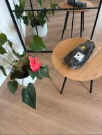 NIEUW! Hanschoenen Thinsulate 3M, Gants, Enlèvement ou Envoi, Autres tailles, Neuf