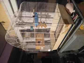 Vogelkooi voor kleinere vogels  beschikbaar voor biedingen