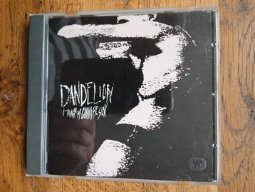 CD Dandelion : I Think I'm Gonna Be Sick (grunge/alt), Enlèvement