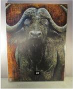 Prachtige Artprint 'Buffel' - Gesigneerd - 80x60, Huis en Inrichting, Ophalen of Verzenden, Zo goed als nieuw, Print, Oorspronkelijke maker