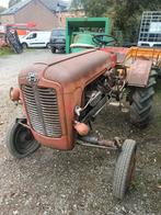 2 tracteurs ancêtres à vendre, Zakelijke goederen, Landbouw | Tractoren, Ophalen, Massey Ferguson