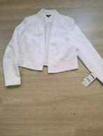 Blazer Nina Kalio 20€, Vêtements | Femmes, Vestes & Costumes, Neuf, Taille 38/40 (M), Enlèvement ou Envoi, Blanc