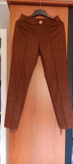 Nieuwe warme broeken., Kleding | Dames, Broeken en Pantalons, Ophalen of Verzenden, Maat 36 (S)