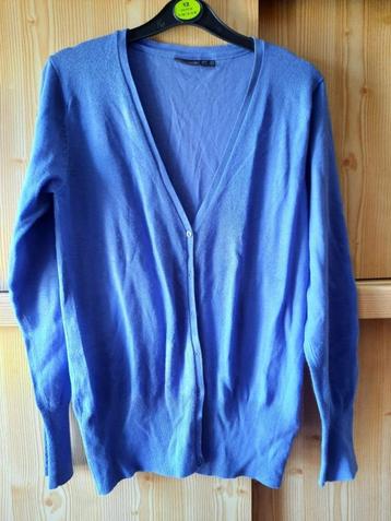 Vestje / gilet / cardigan felblauw maat L beschikbaar voor biedingen