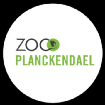 Tickets Zoo Planckendael Kaarten Zoo Planckendael beschikbaar voor biedingen