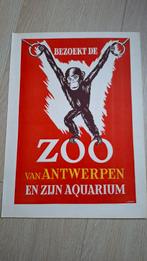 Zooposter, Verzamelen, Ophalen of Verzenden