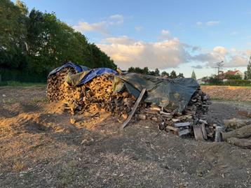 Brandhout, Tuin en Terras, Brandhout, Ophalen, Stammen