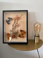 Kader met opgezette vlinders en bloemen, Verzamelen, Dierenverzamelingen, Ophalen of Verzenden, Gebruikt, Insect, Opgezet dier