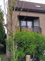 Appartement te huur te Koksijde  St. Idesbald, 50 m² of meer, Provincie West-Vlaanderen