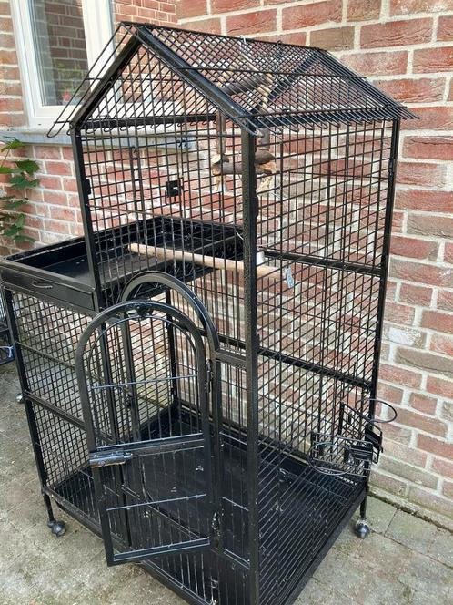 ZEER GROTE PAPEGAAIENKOOI KASTEELTJE NU 190 EURO, Dieren en Toebehoren, Vogels | Hokken en Kooien, Zo goed als nieuw, Volière