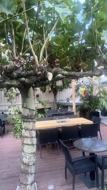 Aannemers beschikbaar voor biedingen