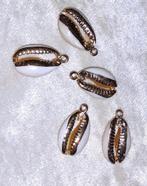 DIY  5 kauri schelp hangertjes crème-wit en goud, Envoi, Neuf, Pendentif