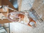 Buggy poppen, Kinderen en Baby's, Ophalen