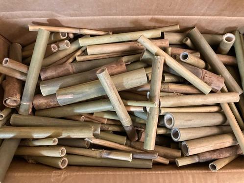 Bamboe voor bijenhotel / insectenhotel - lengte 10 cm - 15 x, Tuin en Terras, Tuinwanddecoratie, Nieuw, Ophalen of Verzenden