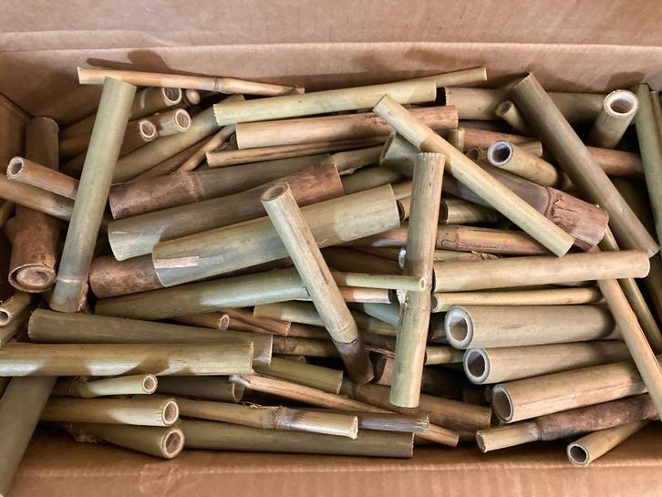 Bamboe voor bijenhotel / insectenhotel - lengte 10 cm - 15 x, Tuin en Terras, Tuinwanddecoratie, Nieuw, Ophalen of Verzenden