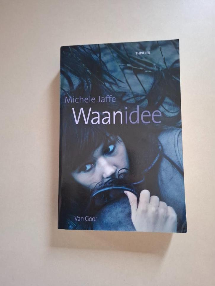 Michele Jaffe - Waanidee, Boeken, Kinderboeken | Jeugd | 13 jaar en ouder, Zo goed als nieuw, Fictie, Ophalen