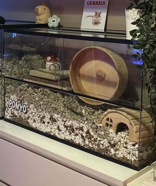 Mooie, nieuwe knaagdierkooi voor kleine knaagdieren, Dieren en Toebehoren, Knaagdieren en Konijnen | Hokken en Kooien, Nieuw, Kooi